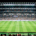 法国足球甲级联赛标志